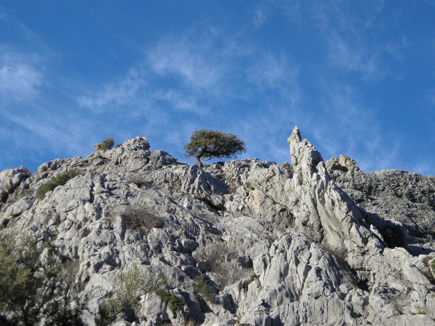 Grazalema_2018 251